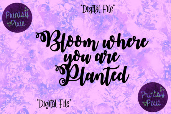 Bloom Where You Are Planted Motivation: A Guide to Thriving in Your Current Circumstances